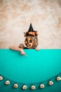 Halloween Pumpkin Autumn Holiday Concept Royalty Free Stock Photo