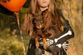 Funny child girl in a witch costume for Halloween with a small dog and with black and orange balloons. Royalty Free Stock Photo