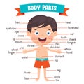Funny Child Showing Human Body Parts Royalty Free Stock Photo