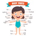 Funny Child Showing Human Body Parts Royalty Free Stock Photo