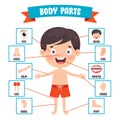 Funny Child Showing Human Body Parts Royalty Free Stock Photo