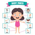 Funny Child Showing Human Body Parts Royalty Free Stock Photo