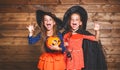 Funny children sister twins girl in witch costume in halloween Royalty Free Stock Photo