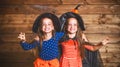 Funny children sister twins girl in witch costume in halloween Royalty Free Stock Photo