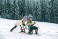 Funny children in snow ride on sled. Winter outdoors games. Happy Christmas family vacation concept. Kids enjoy the Royalty Free Stock Photo