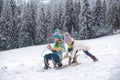 Funny children in snow ride on sled. Winter outdoors games. Happy Christmas family vacation concept. Kids enjoy the Royalty Free Stock Photo