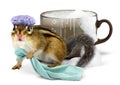 Funny chipmunk taking a bath