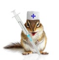 Funny chipmunk veterinarian with syringes