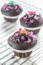 Funny Chocolate Muffins decorated with candies.