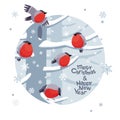 Funny Christmas Bullfinches vector image