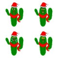 Funny christmas cacti Royalty Free Stock Photo