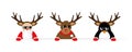 Funny christmas cartoon with cute reindeer santa claus and penguin with sunglasses and antler Royalty Free Stock Photo