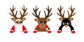 Funny christmas cartoon with cute reindeer santa claus and penguin with sunglasses and antler Royalty Free Stock Photo