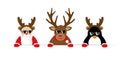 Funny christmas cartoon with cute reindeer santa and penguin with sunglasses and antler Royalty Free Stock Photo