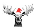 Funny Christmas Moose with Santa Claus hat