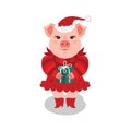 Funny Christmas Pig. A pink pig in a red dress and a Santa Claus hat holds a gift, a white background. Vector Royalty Free Stock Photo