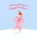 Funny Christmas pig on winter background, Merry Christmas and Happy New Year 2019. Greeting card