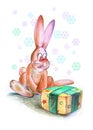 Funny Christmas rabbit
