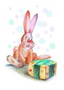 Funny Christmas rabbit Royalty Free Stock Photo