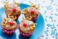 Funny christmas reindeer cupcakes delicious gift for kids