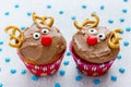 Funny christmas reindeer cupcakes delicious gift for kids