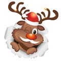 Funny christmas reindeer