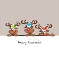 Funny christmas reindeer