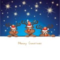 Funny christmas reindeer