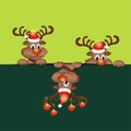 Funny christmas reindeer