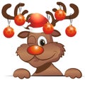 Funny christmas reindeer