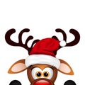 Funny Christmas Reindeer Royalty Free Stock Photo