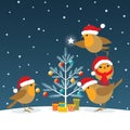 Funny Christmas Robins