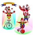 Funny circus Monkey