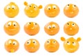 Funny clementines collection