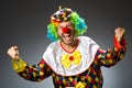 Funny clown in colourful Royalty Free Stock Photo