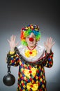 The funny clown in comical concept Royalty Free Stock Photo