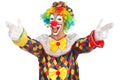 Funny clown Royalty Free Stock Photo