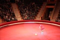 Funny clown trying stand on equilibrium on coils. clown balancing on cylinders