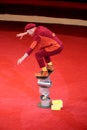 Funny clown trying stand on equilibrium on coils. Merry clown performing circus trick balancing act on cylinders