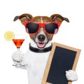 Funny cocktail dog Royalty Free Stock Photo