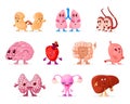 Cartoon internal human organs characters set