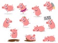 Collection of a cartoon pig Royalty Free Stock Photo