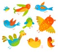 Funny colorful birdies