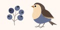 Funny Colorful Birds, Flowers, Leaves And Berries. Color Flat Vector Illustration With Little Cartoon Bird. Cute