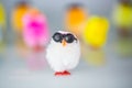 Funny colorful chicks, postcard Royalty Free Stock Photo