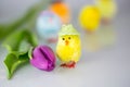 Funny colorful chicks, postcard Royalty Free Stock Photo