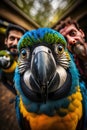 funny and colorful parrot taking a selfie