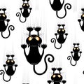 Funny and Confused Naughty Cat Cartoon Character hanging on, and scratching fabric, or curtain, or wall. Assembled to compose a Ve