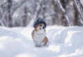 corgi dog sitting in a winter cold park in the snow in a warm fur hat with earflaps