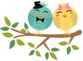 Funny couple of birds on branch tree